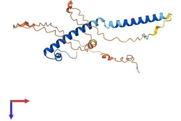 SWI5 Protein (AA 1-235) (His tag)