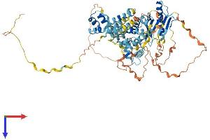 TIGD5 Protein (AA 1-642) (His tag)