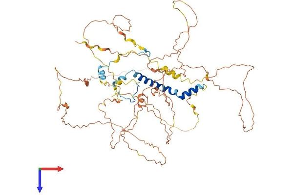 GADD34 Protein (AA 1-657) (His tag)
