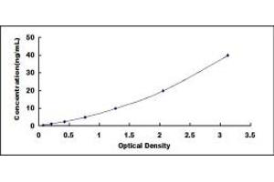 Typical standard curve (SLC25A20 ELISA Kit)