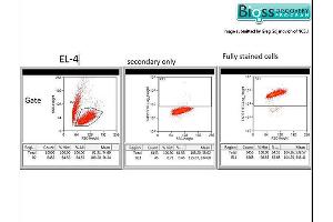 Flow Cytometry (FACS) image for anti-Transporter 2, ATP-Binding Cassette, Sub-Family B (MDR/TAP) (TAP2) (AA 451-550) antibody (ABIN680123)