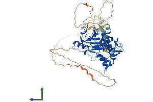 AlphaFold protein structure predicition of Human Recombinant SMAD6 Protein, UniprotID O43541 (SMAD6 Protein (AA 1-496) (His tag))