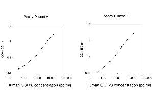 ELISA image for Chemokine (C-C Motif) Ligand 28 (CCL28) ELISA Kit (ABIN1979921) (CCL28 ELISA Kit)