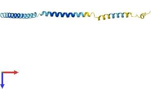 KCNE2 Protein (AA 1-123) (His tag)