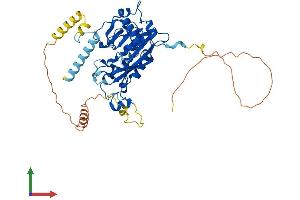 AlphaFold protein structure predicition of Mouse Recombinant Mettl14 Protein, UniprotID Q3UIK4
