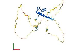Protein Structure (PS) image for Caudal Type Homeobox 1 (CDX1) (AA 1-268) protein (His tag) (ABIN7562925)