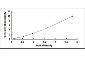 Typical standard curve (METRN ELISA Kit)