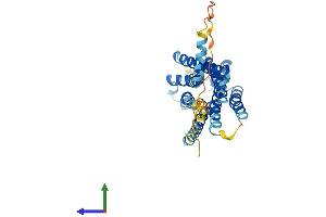 Protein Structure (PS) image for G Protein-Coupled Receptor 157 (GPR175) (AA 1-335) protein (His tag) (ABIN7548035)
