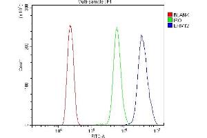 Flow Cytometry analysis of HL-60 cells using anti-EHMT2/G9A antibody (ABIN7602084). (EHMT2 Antikörper  (AA 580-1195))