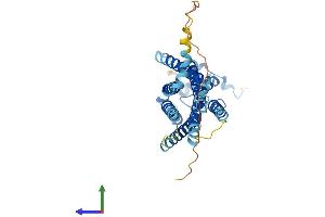 Protein Structure (PS) image for Sphingosine-1-Phosphate Receptor 2 (S1PR2) (AA 1-352) protein (His tag) (ABIN7563417)