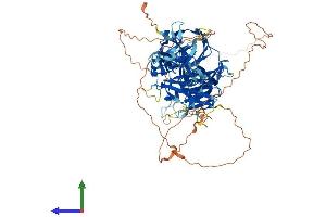 Protein Structure (PS) image for Host Cell Factor C2 (HCFC2) (AA 1-792) protein (His tag) (ABIN7548261)