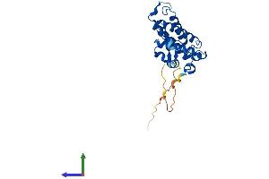 Protein Structure (PS) image for MOB Kinase Activator 2 (MOB2) (AA 1-235) protein (His tag) (ABIN7559949)