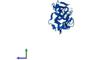 AlphaFold protein structure predicition of Human Recombinant FAM78B Protein, UniprotID Q5VT40