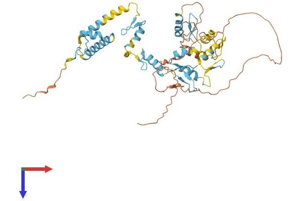 ZFP57 Protein (AA 1-452) (His tag)
