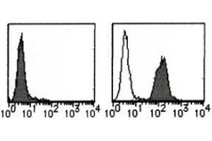 Flow Cytometry (FACS) image for anti-CD274 (PD-L1) (Extracellular Domain) antibody (ABIN1449244) (PD-L1 Antikörper  (Extracellular Domain))