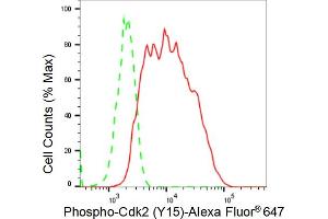 Flow cytometric analysis of Phospho-Cdk2 (Y15) expression in C2C12 cells using Phospho-Cdk2 (Y15) antibody (ABIN7798209), 1:2,000).