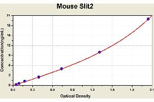 Diagramm of the ELISA kit to detect Mouse Sl1 t2with the optical density on the x-axis and the concentration on the y-axis.