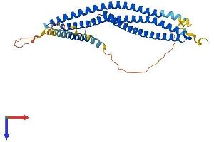 ARFIP2 Protein (AA 1-341) (His tag)
