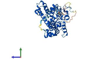 AlphaFold protein structure predicition of Mouse Recombinant Gal3st1 Protein, UniprotID Q9JHE4 (GAL3ST1 Protein (AA 1-423) (His tag))