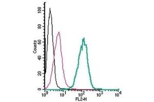 Flow Cytometry (FACS) image for anti-Solute Carrier Family 7, (Cationic Amino Acid Transporter, Y+ System) Member 11 (SLC7A11) (AA 218-231), (Extracellular) antibody (PE) (ABIN7043753)