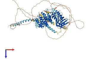 AlphaFold protein structure predicition of Human Recombinant SYCP2L Protein, UniprotID Q5T4T6