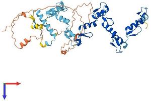 ZNF773 Protein (AA 1-442) (His tag)