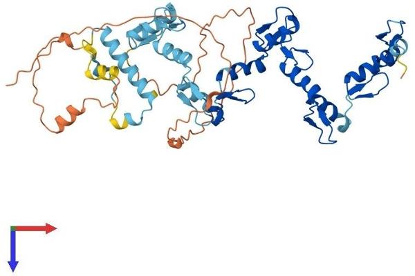 ZNF773 Protein (AA 1-442) (His tag)
