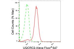 Flow cytometric analysis of UQCRC2 expression in HepG2 cells using UQCRC2 antibody (ABIN7800703), 1:2,000). (Rekombinanter UQCRC2 Antikörper)