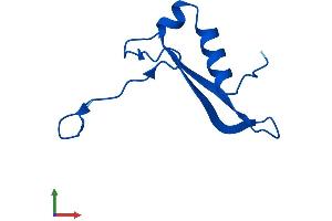 Protein Structure (PS) image for Ribosomal Protein S21 (RPS21) (AA 1-83) protein (Fc Tag) (ABIN7551567)