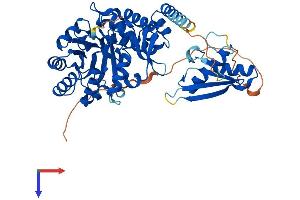 DUSL2 Protein (AA 1-493) (His tag)