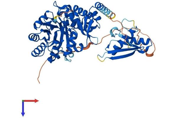 DUSL2 Protein (AA 1-493) (His tag)