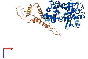 SMCR7L Protein (AA 1-463) (His tag)