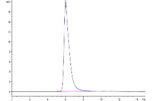 The purity of Biotinylated Human PD-1 is greater than 95 % as determined by SEC-HPLC.