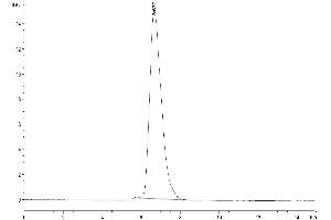 Size-exclusion chromatography-High Pressure Liquid Chromatography (SEC-HPLC) image for CD164 (CD164) (AA 24-162) protein (Fc Tag) (ABIN7274215)