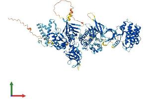 Protein Structure (PS) image for Janus Kinase 1 (JAK1) (AA 1-1153) protein (His tag) (ABIN7563415)