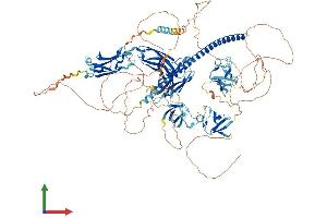 Protein Structure (PS) image for RIMS Binding Protein 2 (RIMBP2) (AA 1-1072) protein (His tag) (ABIN7564250)