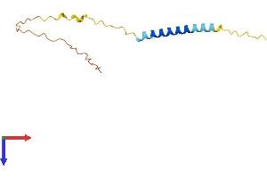 Nerve Growth Factor Receptor (TNFRSF16) Associated Protein 1 (NGFRAP1) (AA 1-111) protein (His tag)