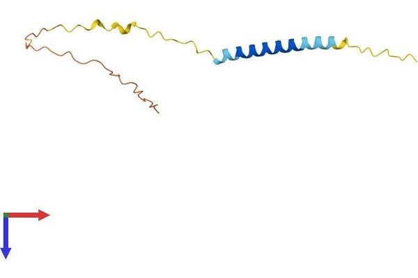 Nerve Growth Factor Receptor (TNFRSF16) Associated Protein 1 (NGFRAP1) (AA 1-111) protein (His tag)