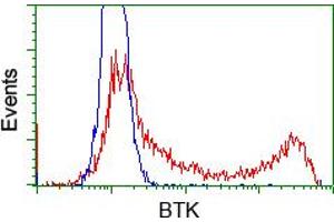 HEK293T cells transfected with either pCMV6-ENTRY BTK (RC211582) (Red) or empty vector control plasmid (Blue) were immunostained with anti-BTK mouse monoclonal (ABIN2452836), and then analyzed by flow cytometry. (BTK Antikörper)