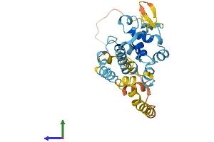 Protein Structure (PS) image for Endogenous Bornavirus-Like Nucleoprotein 2 (EBLN2) (AA 1-272) protein (His tag) (ABIN7547221)