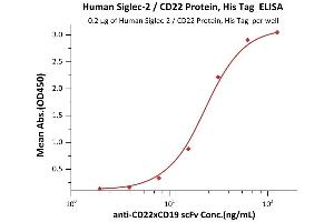 Immobilized Human Siglec-2, His Tag (ABIN5526644,ABIN5526645) at 2 μg/mL, add increasing concentrations of aCD19 scFv and then add Biotinylated Human CD19 (20-291), Fc,Avitag (ABIN6972967) at 0.