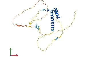Protein Structure (PS) image for Msh Momeobox 2 (Msx2) (AA 1-267) protein (His tag) (ABIN7549561)