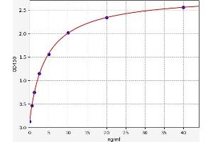 Typical standard curve (AOX1 ELISA Kit)