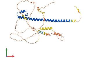 Protein Structure (PS) image for V-Maf Musculoaponeurotic Fibrosarcoma Oncogene Homolog (Avian) (MAF) (AA 1-373) protein (His tag) (ABIN7554459)