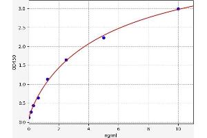 HCCS ELISA Kit