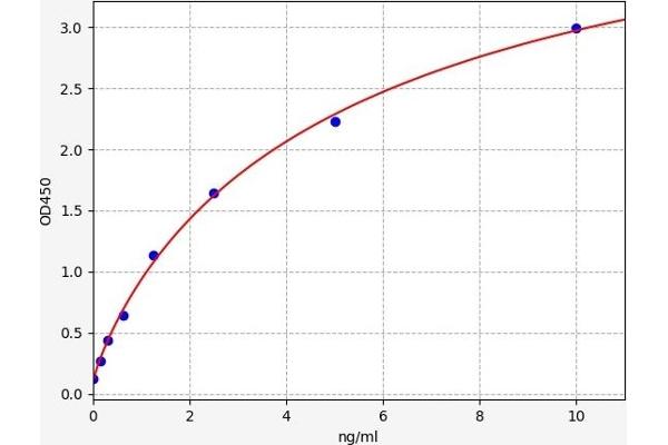 HCCS ELISA Kit