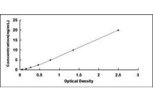 Typical standard curve (Apoptosis Inhibitor 5 ELISA Kit)