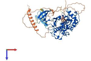 CDK14 Protein (AA 1-469) (His tag)