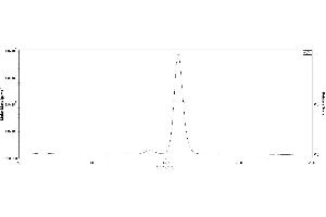 The purity of 2019-nCoV (COVID-19) S protein RBD, Fc Tag (MALS verified) ( ABIN6952455) was more than 90% in HP-SEC, and around 110-125 kDa verified by SEC-MALS. (SARS-CoV-2 Spike S1 Protein (RBD) (Fc Tag))