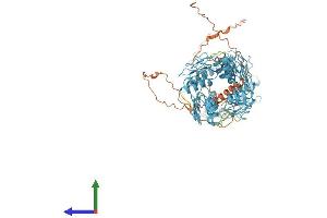 AlphaFold protein structure predicition of Human Recombinant ZNF600 Protein, UniprotID Q6ZNG1